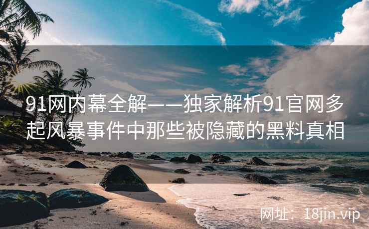 91网内幕全解——独家解析91官网多起风暴事件中那些被隐藏的黑料真相  第2张