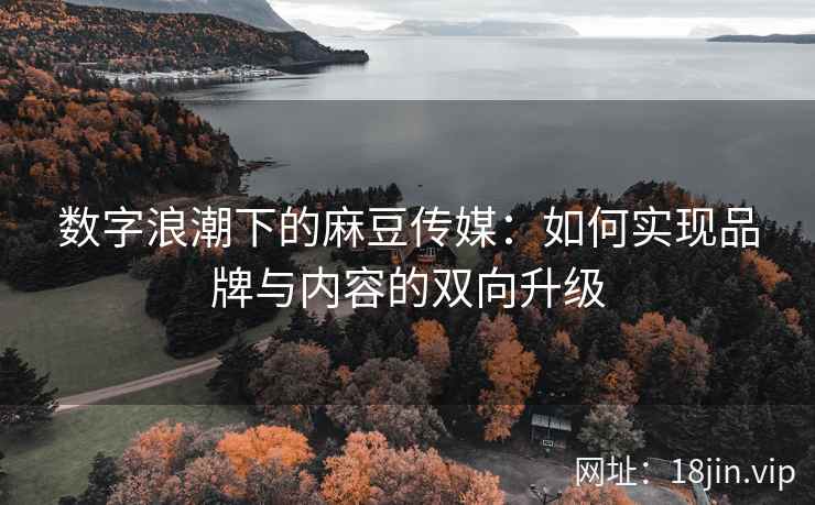 数字浪潮下的麻豆传媒：如何实现品牌与内容的双向升级  第2张